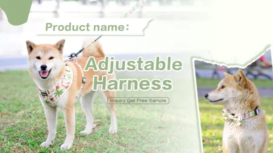 Hanyang amostra grátis designs personalizados arreios para animais de estimação colete para cães arnês e trela designer de luxo arnês para cães personalizado por atacado